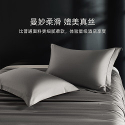 希爾頓酒店48cmx74cm枕套100全棉一對裝純棉單個枕頭枕芯內膽套子
