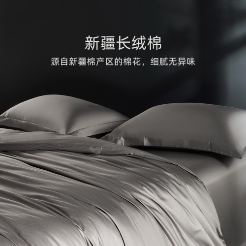 希爾頓酒店48cmx74cm枕套100全棉一對裝純棉單個枕頭枕芯內膽套子