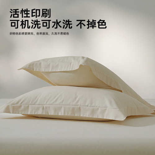 五星級酒店100支磨毛枕套單個裝48cmx74cm枕頭套全棉純棉內膽套子