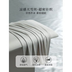 2025新款天雪絲枕套一對裝夏冰絲涼感枕頭內膽套家用單人48cmx74m