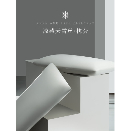 2025新款天雪絲枕套一對裝夏冰絲涼感枕頭內膽套家用單人48cmx74m