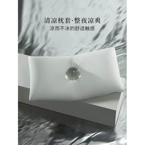 2025新款天雪絲枕套一對裝夏冰絲涼感枕頭內膽套家用單人48cmx74m