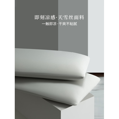 2025新款天雪絲枕套一對裝夏冰絲涼感枕頭內膽套家用單人48cmx74m