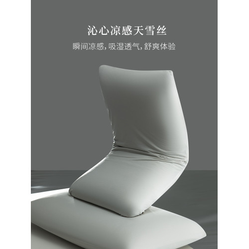 2025新款天雪絲枕套一對裝夏冰絲涼感枕頭內膽套家用單人48cmx74m