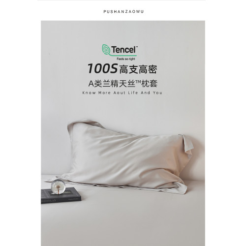 A類100S蘭精天絲枕套一對裝家用絲滑簡約純色涼感冰絲枕頭套48x74