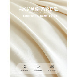 FLER 100支長絨棉枕套一對裝家用純色枕頭2025新款純棉全棉高級感