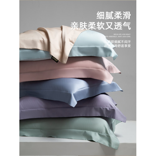FLER 100支長絨棉枕套一對裝家用純色枕頭2025新款純棉全棉高級感