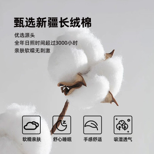 VISIONA 白月光100S全棉枕套純棉枕頭套