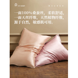夢灣裡100%桑蠶絲真絲枕套簡約春夏季信封式絲綢枕頭套男女一條裝