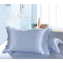 夏涼蠶絲枕套真絲枕頭套雙面絲綢鍛桑蠶絲枕芯套美容冰絲枕巾一對