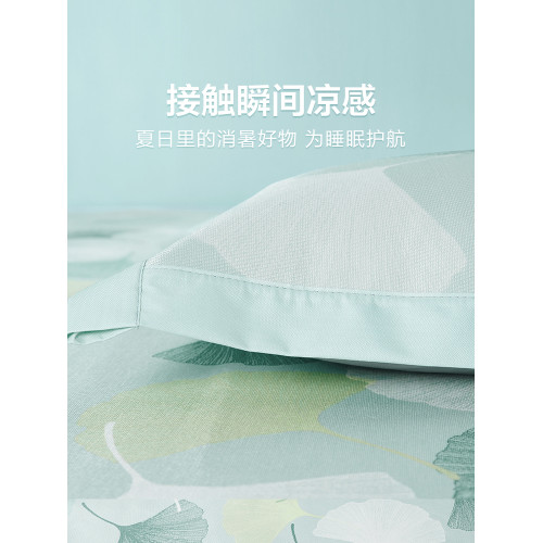 博洋家紡夏季600D冰絲枕套一對裝家用枕頭套夏天涼蓆枕套48x74cm