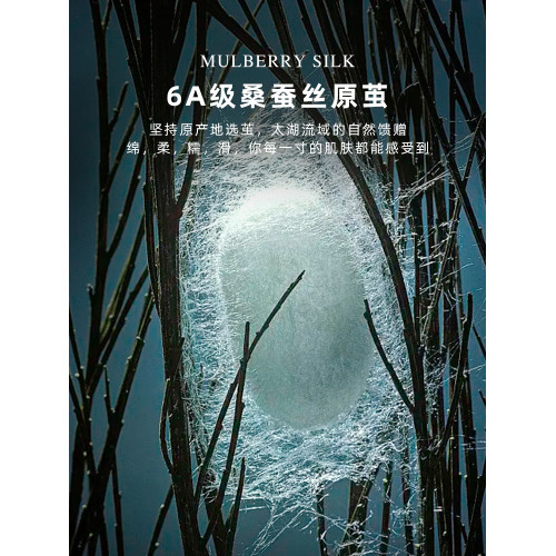 抗菌6A真絲枕巾100%桑蠶絲枕套成人兒童單人枕頭巾重磅絲綢防蟎