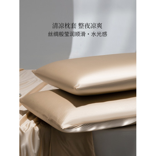 高級純色水光冰絲枕套一對裝夏季雙面真絲滑涼感枕頭芯套48x74cm