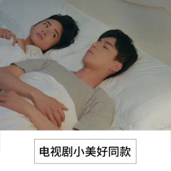 出口全棉純棉斜紋枕套一對裝韓式荷葉邊白色公主風枕頭套特價