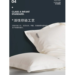 德國Balily五星級酒店專用枕套一對裝純棉全棉枕頭套枕芯內膽套