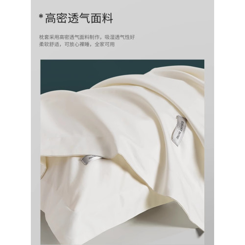 德國Balily五星級酒店專用枕套一對裝純棉全棉枕頭套枕芯內膽套