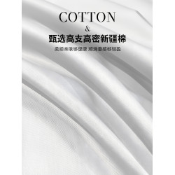 120支純白色壓框工藝枕套純棉48x74cm一衹裝全棉枕頭套加大枕芯套