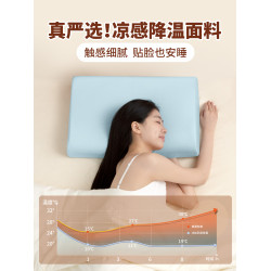 乳膠枕頭夏天專用枕套冰絲夏季涼感40cmx60cm成人單個一對裝輕奢