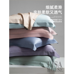 LISA長絨棉100支枕套一對裝家用枕頭套裝2024新款純棉全棉高級感