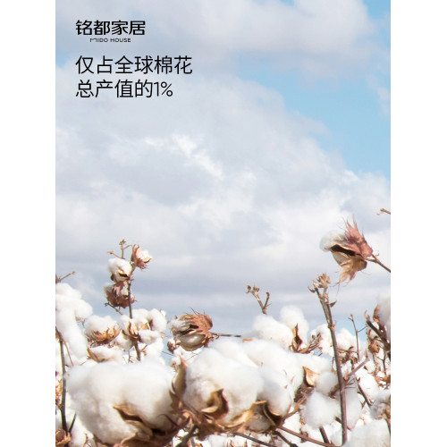 銘都床笠純棉160支超級匹馬棉床笠罩全棉單件防滑固定床墊套新款
