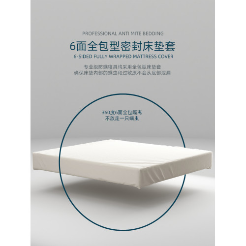 帕雷丁專業防蟎蟲床墊套/防蟎床笠/防蟎蟲過敏床罩/床套防塵蟎