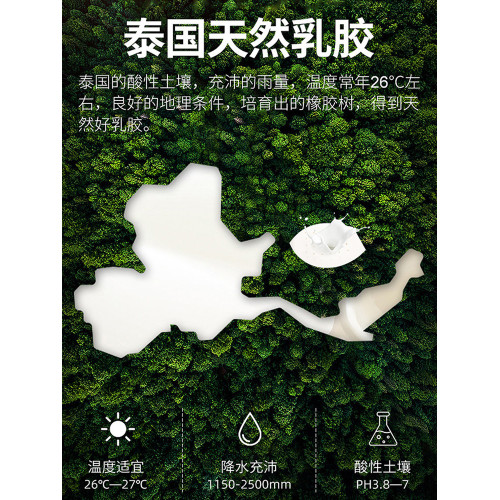 A類冰絲乳膠涼蓆三件套床笠款2025年新款涼感絲夏被四件套可機洗