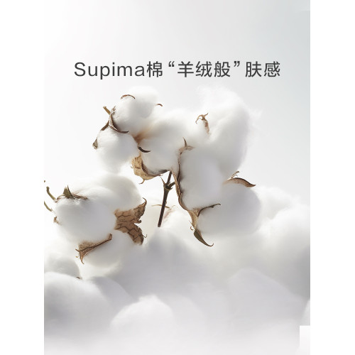 羅萊家紡100支床笠單件全棉純棉匹馬棉床罩防滑床單床墊套罩床套
