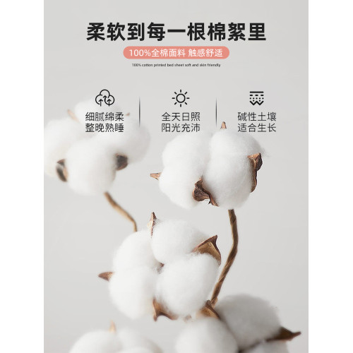 洛麗塔公主風純棉床笠罩單件2025新款全棉床罩少女床單兒童床墊套
