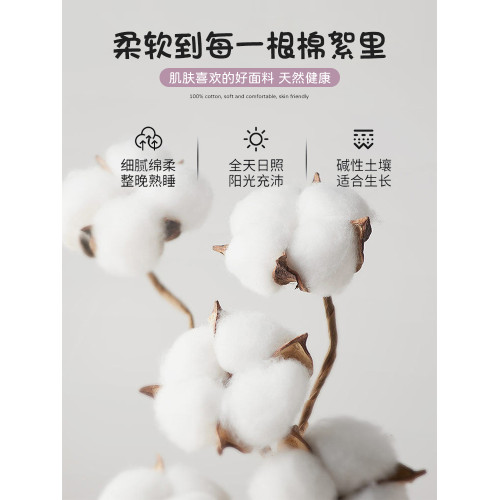瘋狂動物城全棉床罩單件兒童床笠2025新款純棉床墊套四季通用床單