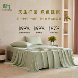 夏季a類抗菌抑菌抑蟎100%天然竹漿纖維床笠單件涼感床單罩三件套