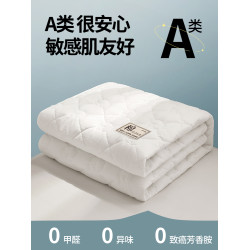Phantaci2025新款A類純棉100%新疆棉花填充單床笠純色床罩全包圍