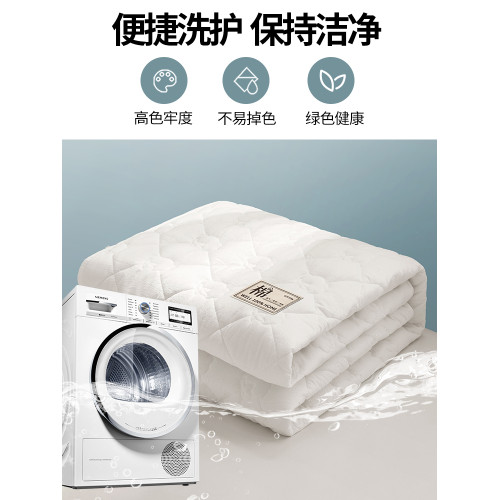 Phantaci2025新款A類純棉100%新疆棉花填充單床笠純色床罩全包圍