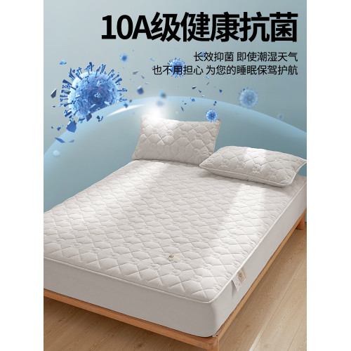 Phantaci2025新款A類純棉100%新疆棉花填充單床笠純色床罩全包圍