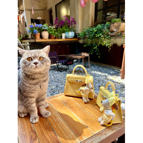 高定夏日豔陽原版手掌紋ep牛皮小雞黃二代kelly凱莉手提斜背女包