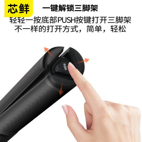 芯鮮SH172一體式隱形桿三腳架自拍桿適用insta360 X5 X4 X3全景運動相機大疆Action 5 FlyCart100延長桿Gopro
