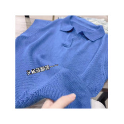 2025夏季新款時尚百搭翻領針織衫女高級感洋氣打底衫上衣
