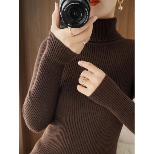 配大衣的軟糯高領毛衣女秋冬新款加厚修身內搭高級感黑針織打底衫