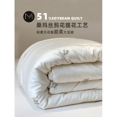 高級51%大豆纖維被子超柔抗菌冬季保暖被芯加厚冬被春秋被輕奢