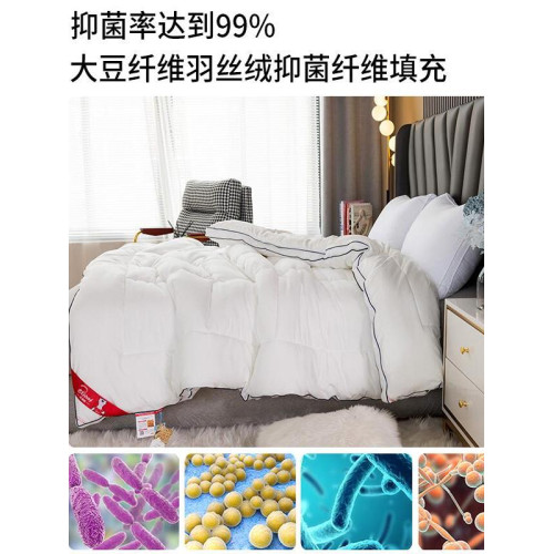 北極絨被子大豆纖維被棉被加厚冬被冬季被芯春秋夏被學生四季通用