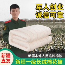 一級6斤 新疆棉被暖氣房雙人被子鋪床的鋪底網套褥子墊被芯春秋被