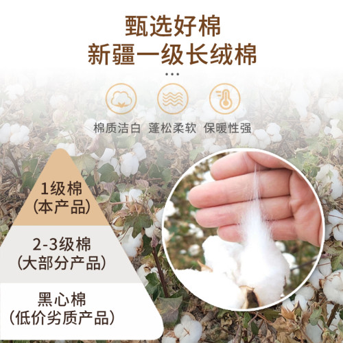 一級6斤 新疆棉被暖氣房雙人被子鋪床的鋪底網套褥子墊被芯春秋被