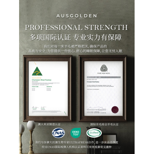 Ausgolden羊毛被澳洲進口100純羊毛家用雙人高級四季通用被芯被子