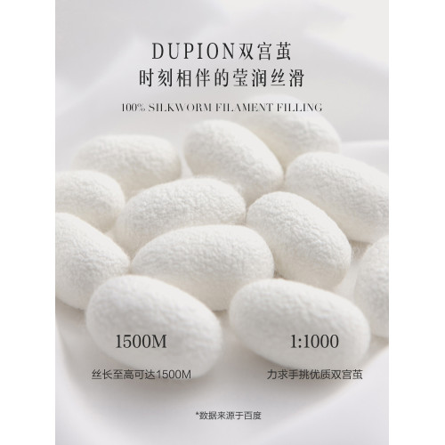 MINE/寐100%桑蠶絲高級蠶絲被純棉被子夏季被四季春秋被芯 格調II