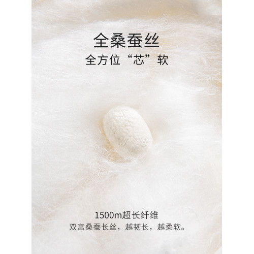 蠶絲被100%桑蠶絲被冬被加厚保暖春秋手工絲棉被子被芯雙宮繭