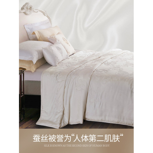 100%桑蠶絲被子天絲蠶絲被芯雙宮繭工藝春秋夏被冬被二合一子母被