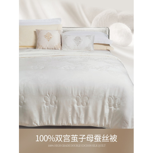 100%桑蠶絲被子天絲蠶絲被芯雙宮繭工藝春秋夏被冬被二合一子母被