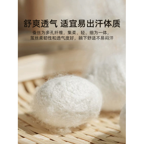 夢蘭家紡被子100%桑蠶絲被春秋被冬被四季被二合一子母被芯夏涼被