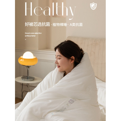 瑞士喜來登酒店抗菌防蟎春秋被子加厚保暖柔軟被芯冬被四季通用