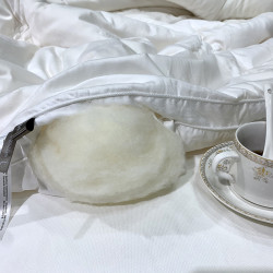高級20%大豆纖維冬被加厚單人棉被芯 簡約春秋被保暖被子雙人被褥