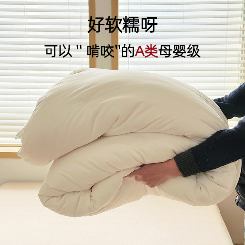 A類大豆被春秋被子加厚保暖單人學生夏涼被冬被家用棉被纖維被芯